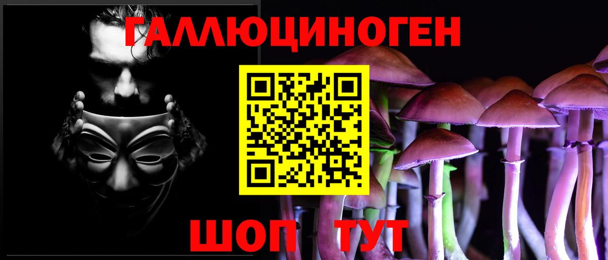Нижний Тагил  Галлюциногенные грибы Cubensis  Вход с VPN 